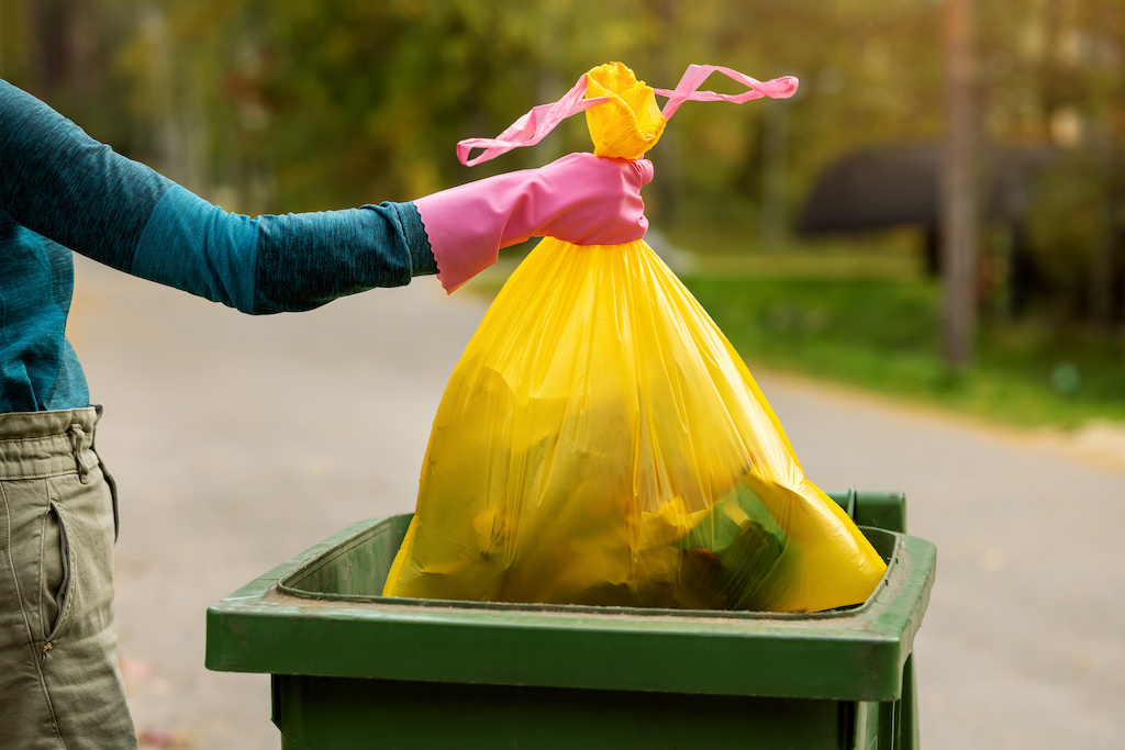 Dumpster rental